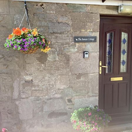 The Annexe Cottage At Newhouse Farm Lanark Dış mekan fotoğraf